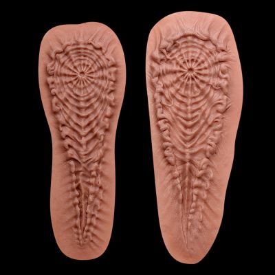 AN2 - Alien Motif
