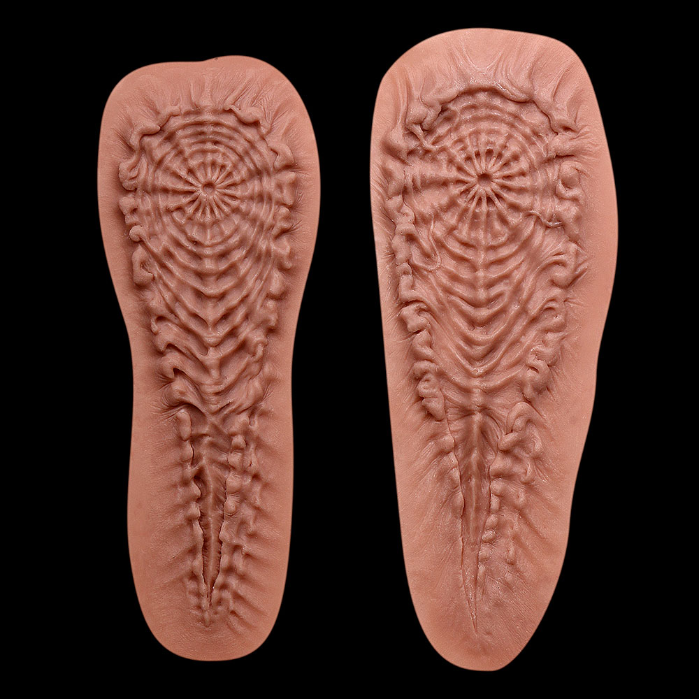 AN2 - Alien Motif