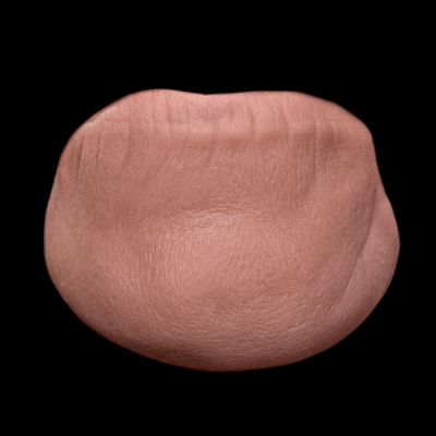 CN13 - Old Age Chin Unisex
