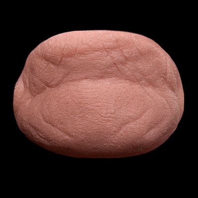 CN4 - Old Age Chin Unisex