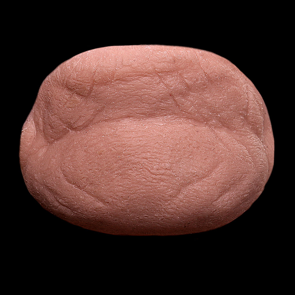 CN4 - Old Age Chin Unisex