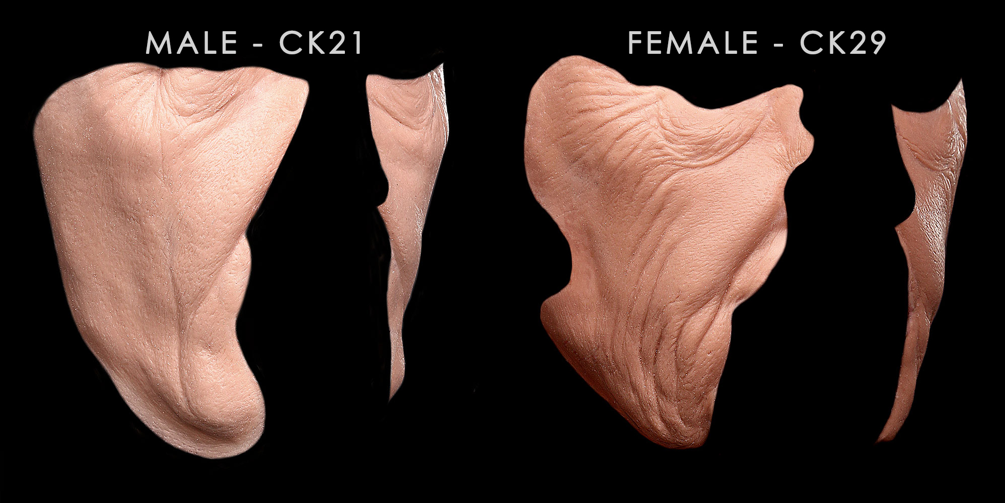 OAG - Old Age Generic Full Set - Image 4