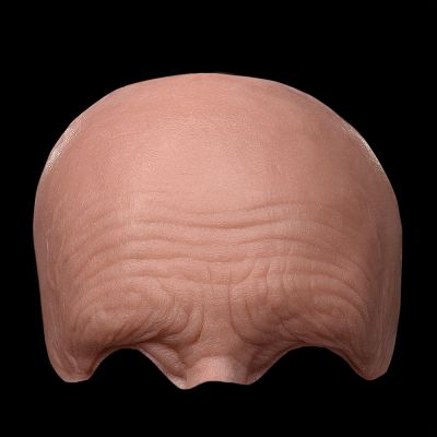 FH1 - Generic Old Age Forehead Unisex