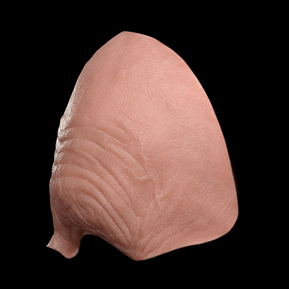 FH1 - Generic Old Age Forehead Unisex - Image 3