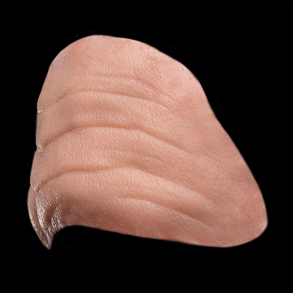 FH15 - Old Age Forehead Male - Image 3