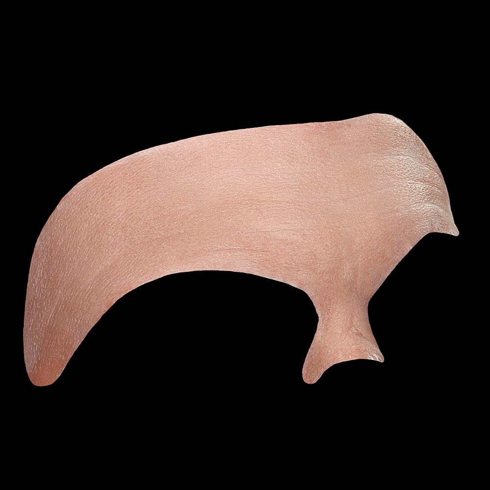 FH17 - Old Age Forehead Male - Image 2