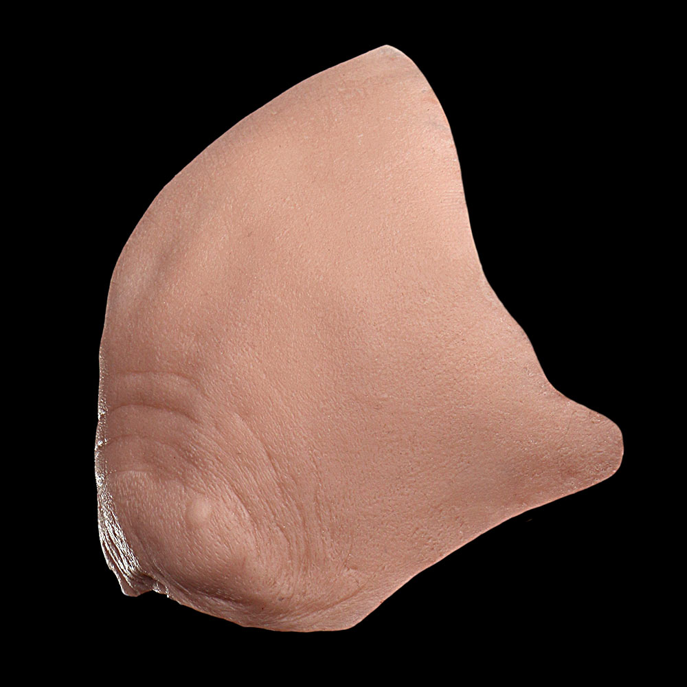 FH18 - Old Age Forehead Male - Image 3