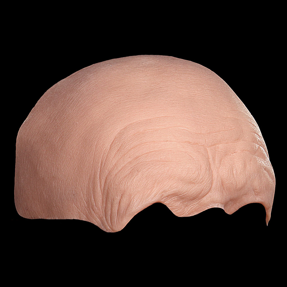 FH20 - Old Age Forehead Male - Image 2