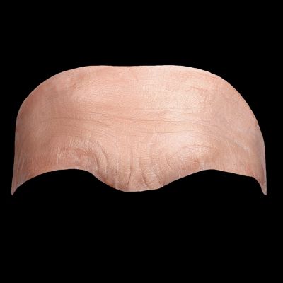 FH21 - Old Age Forehead Male
