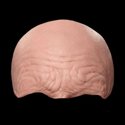 FH3 - Old Age Forehead Unisex