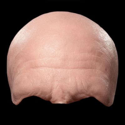FH7 - Old Age Forehead Male