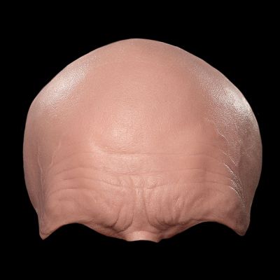 FH8 - Old Age Forehead Unisex