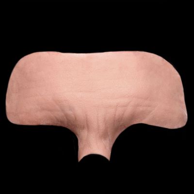 FH9 - Old Age Forehead Male