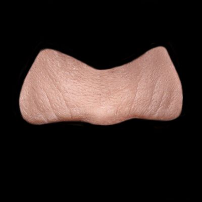 L3 - Old Age Top Lip Unisex