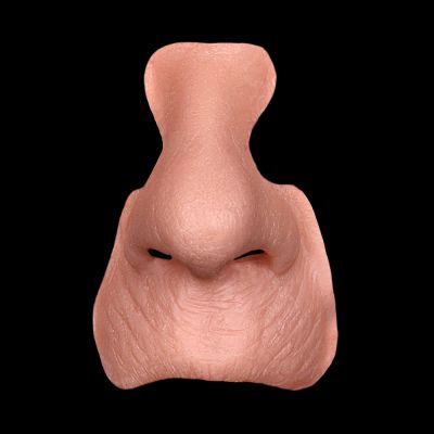 N17 - Old Age Nose & Upper Lip Female