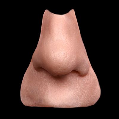 N2 - Old Age Nose & Upper Lip Female
