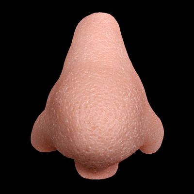 N6 - Old Age Nose Male