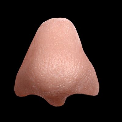 N8 - Old Age Nose Tip Unisex