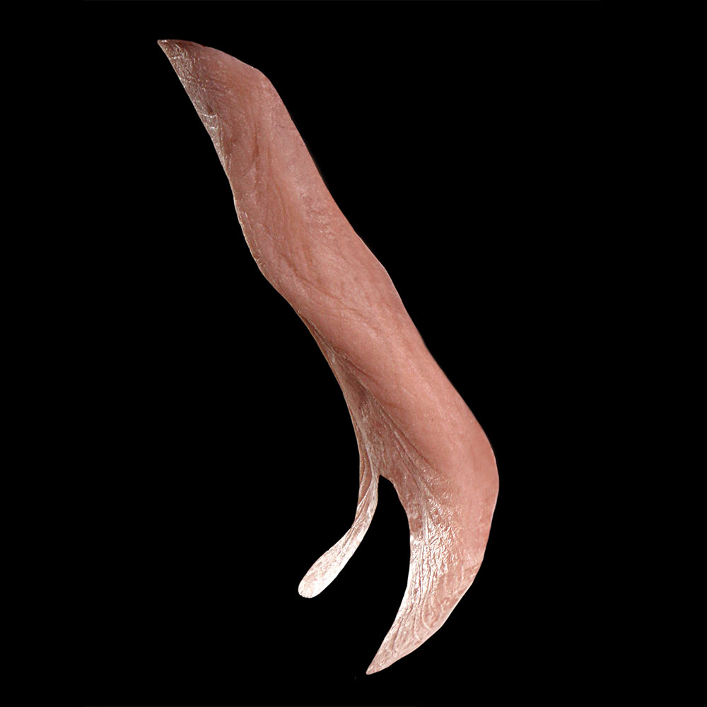 NK10 - Old Age Neck Wattle Unisex - Image 3