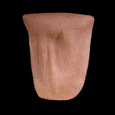 NK9 - Old Age Neck Wattle Unisex