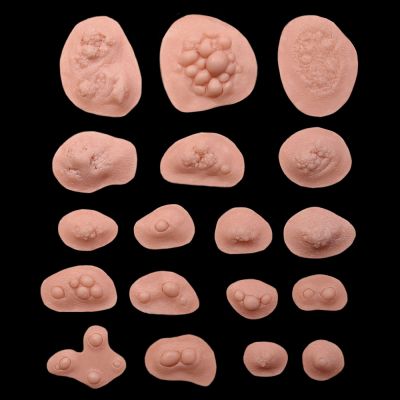 BS2 - Boil Set Small