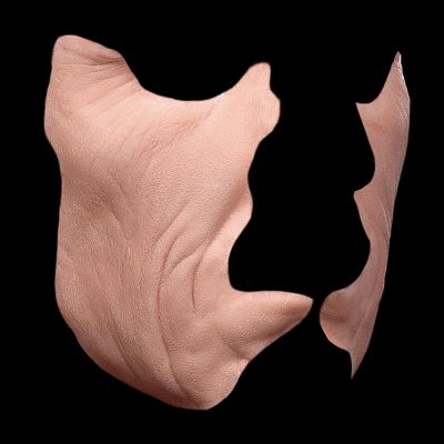 CK12 - Old Age Cheeks Male
