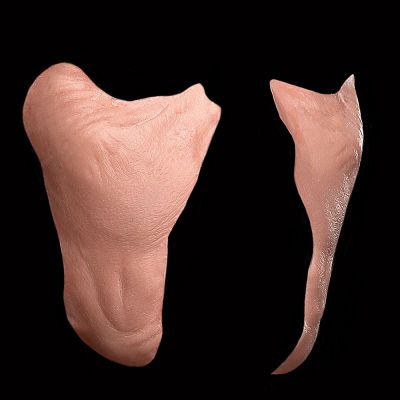 CK25 - Old Age Cheeks Female