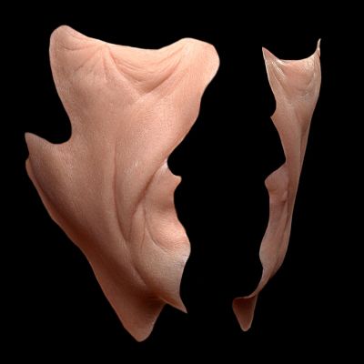 CK32 - Old Age Cheeks Male stage 1