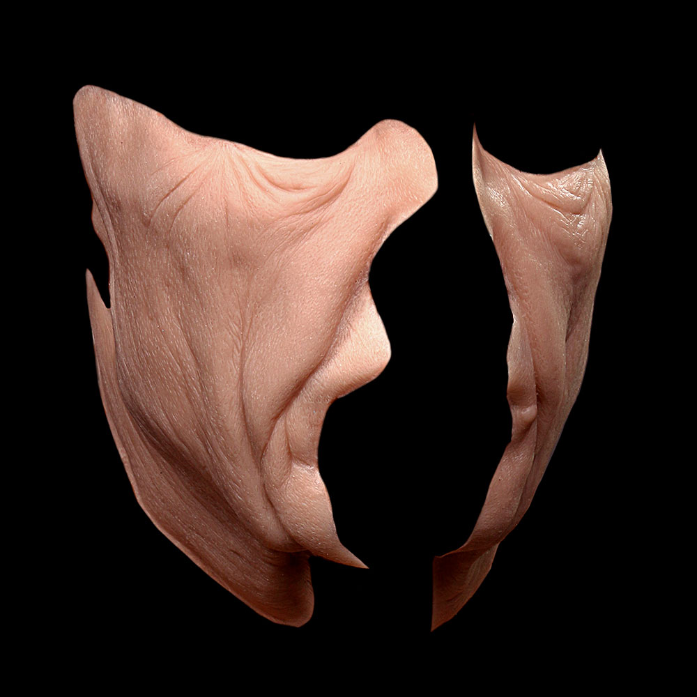 CK33 - Old Age Cheeks Male stage 2
