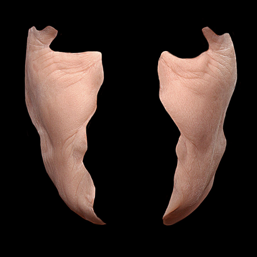 CK34 - Old Age Cheeks Male stage 1 - Image 2