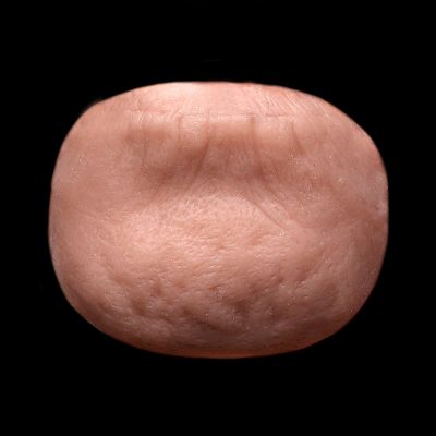 CN14 - Old Age Chin Unisex
