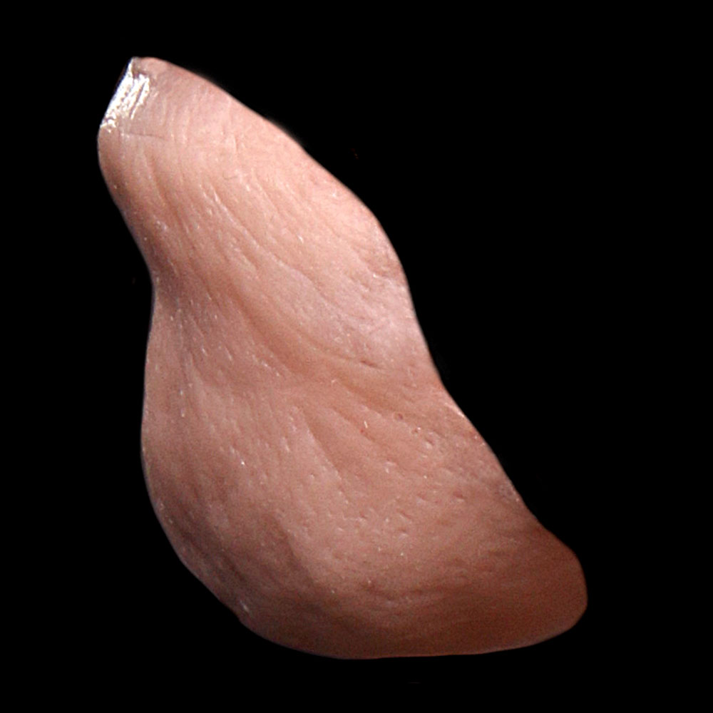 CN14 - Old Age Chin Unisex - Image 3