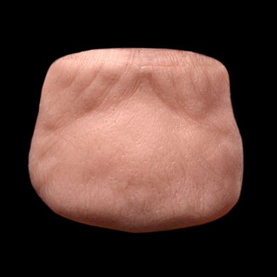 CN15 - Old Age Chin Unisex