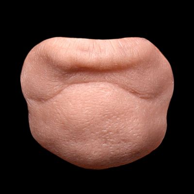 CN17 - Old Age Chin Unisex