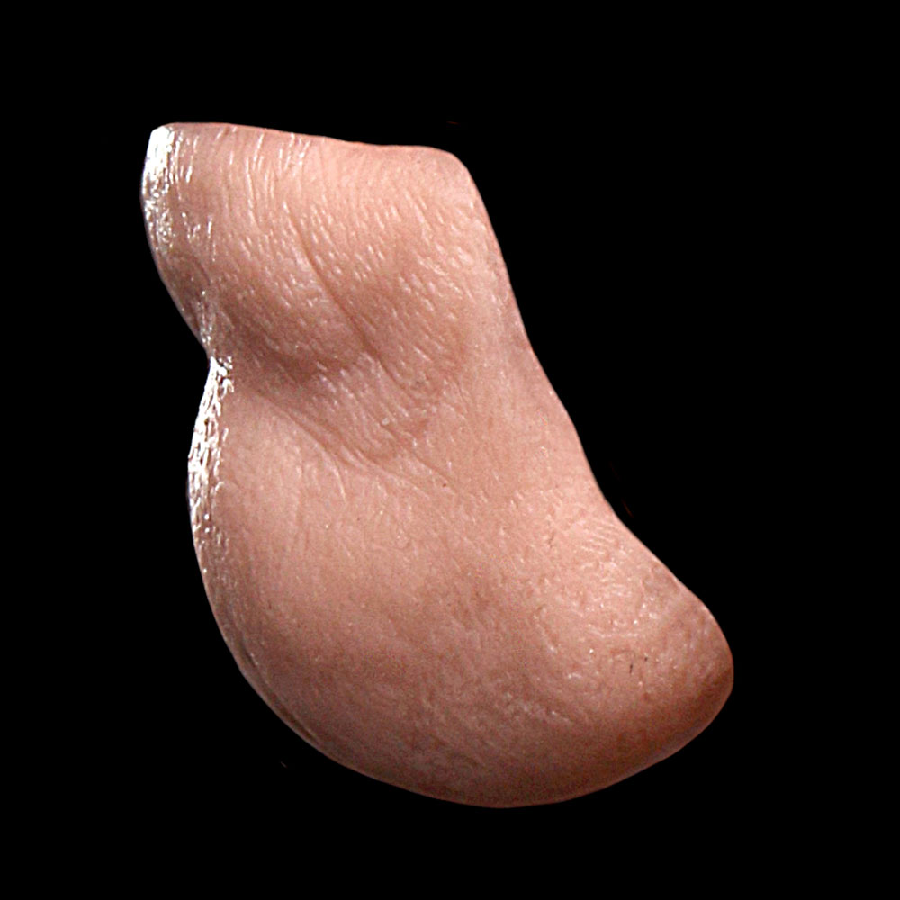 CN20 - Old Age Chin Unisex - Image 3