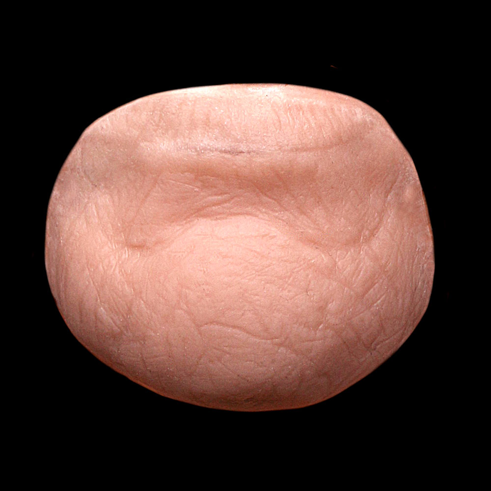 CN21 - Old Age Chin Unisex