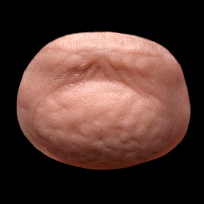 CN6 - Old Age Chin Unisex