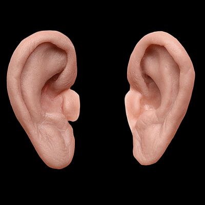 ER3 - Old Age Ears Female