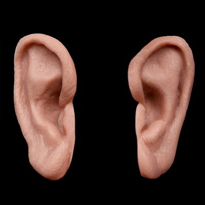 ER4 - Old Age Ears Male