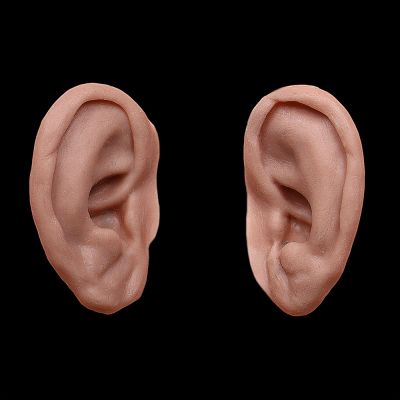ER5 - Old Age Ears Male