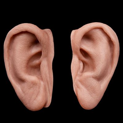 ER6 - Old Age Ears Male