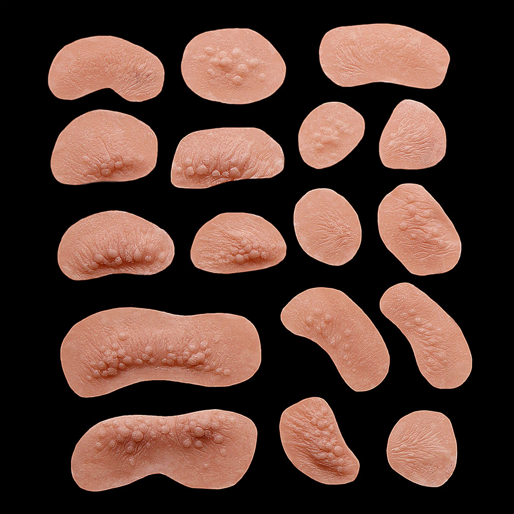 FB1 - Set of Frostbites