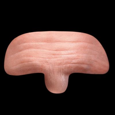 FH24 - Generic Old Age Forehead Small Unisex