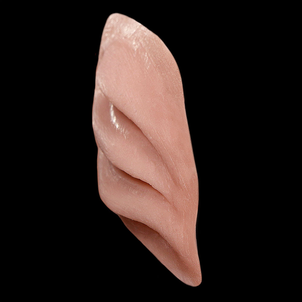 GL1 - Gills - Image 3