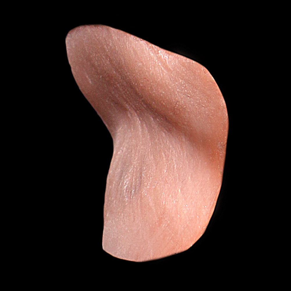 L11 - Old Age Bottom Lip Unisex - Image 3