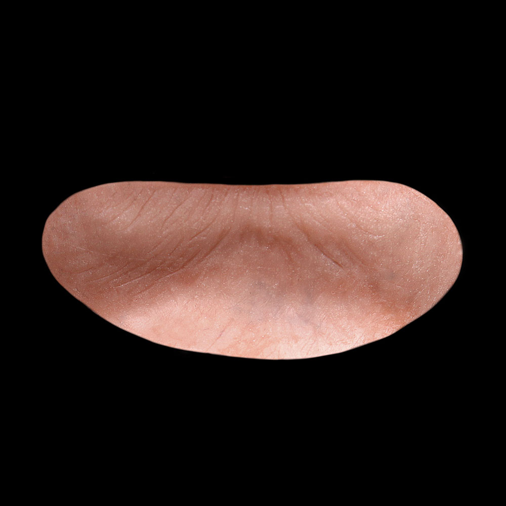 L12 - Old Age Bottom Lip Unisex