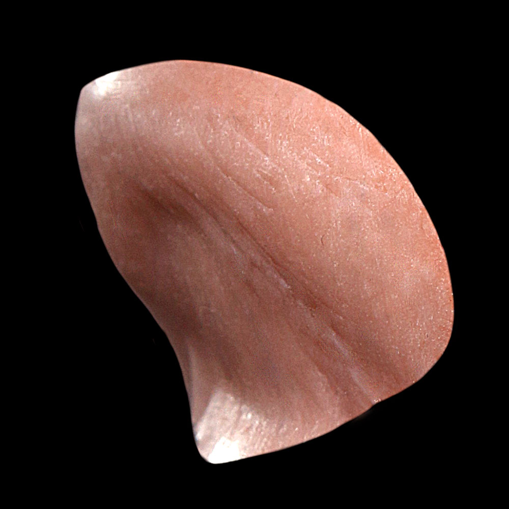L12 - Old Age Bottom Lip Unisex - Image 3