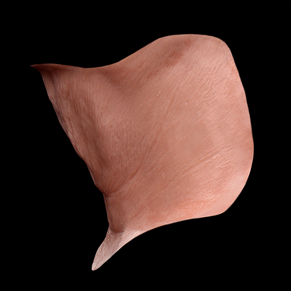 NK13 - Old Age Neck Unisex - Image 3