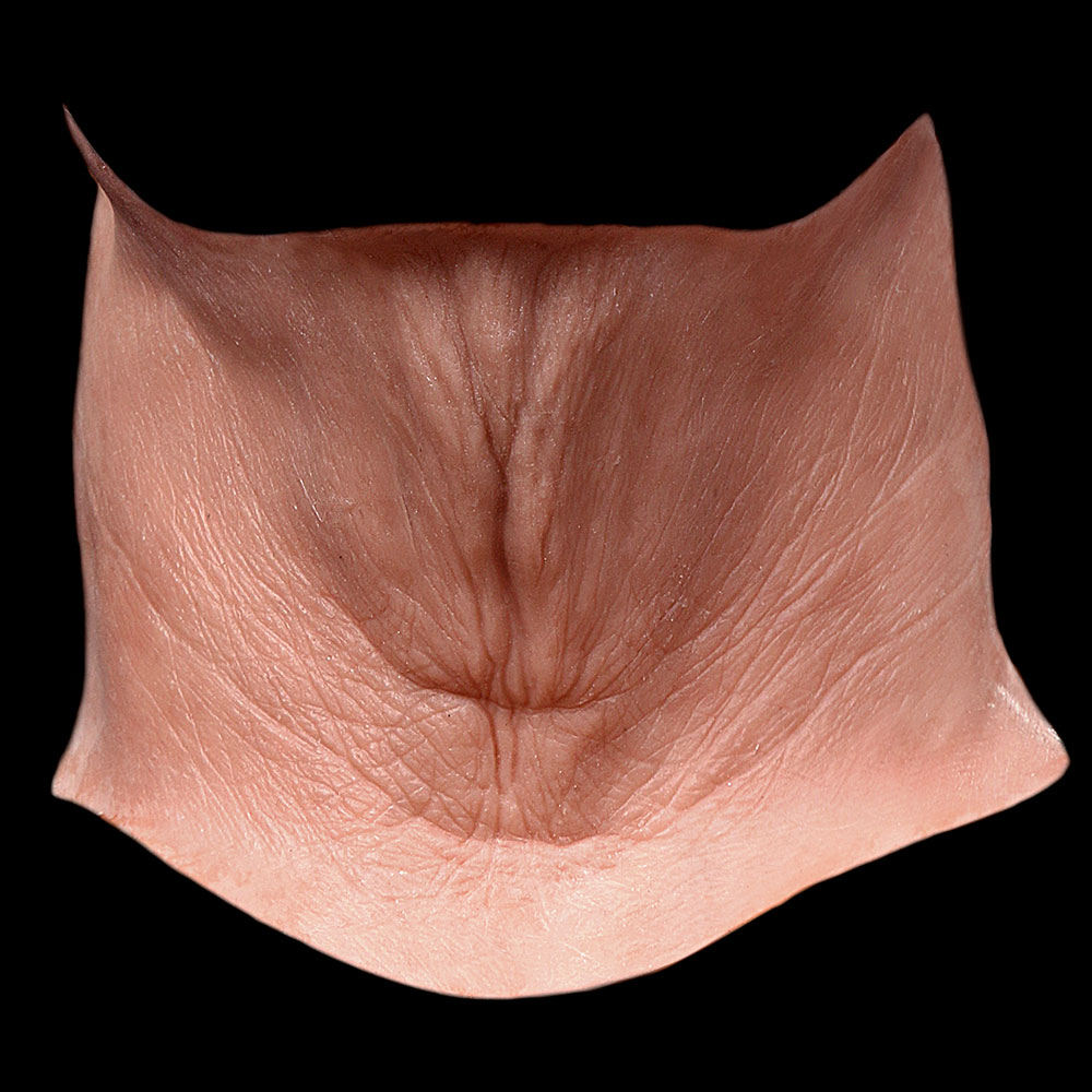 NK14 - Old Age Neck Unisex
