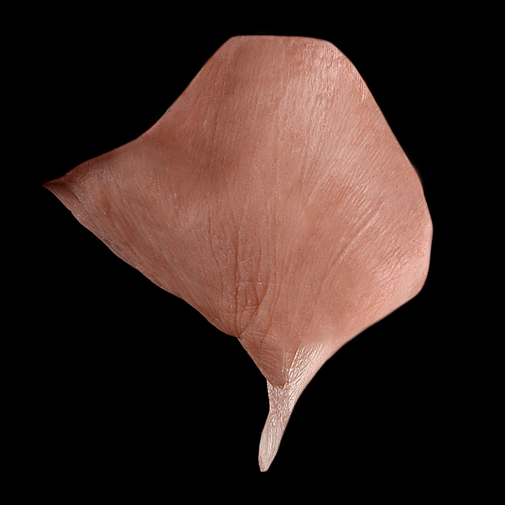 NK14 - Old Age Neck Unisex - Image 3